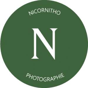 Nicornitho | logo | graphisme montpellier - identité visuelle