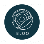 Logo - Bloo Store - création site web